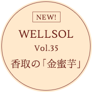 WELLSOL Vol.35 香取の「金蜜芋」
