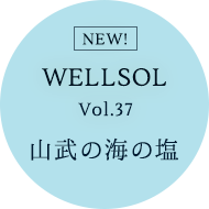 WELLSOL Vol.37 山武の海の塩