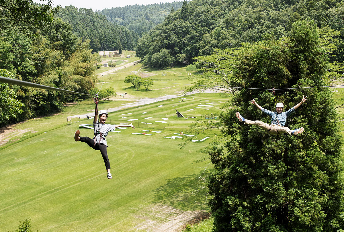 ACTIVITIES IN THE FOREST