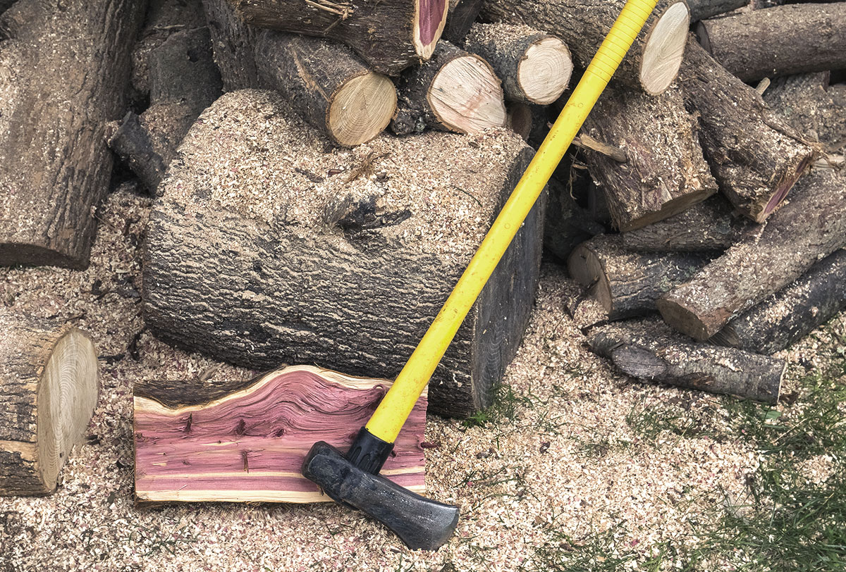 Wood chopping experience
