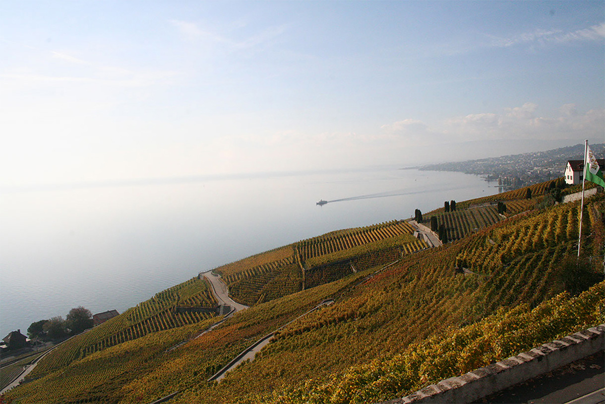 View of Lake Geneva from Grandvaux, Bourg-en-Lavaux (© Switzerland Tourism / Yuko Makino)