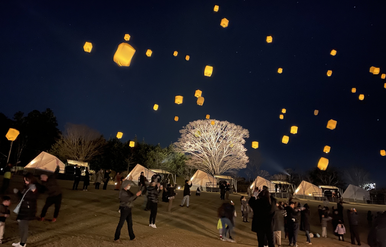 12／13（土）、12／20（土）、12／24（水）
　クリスマスイベント「Mi ...