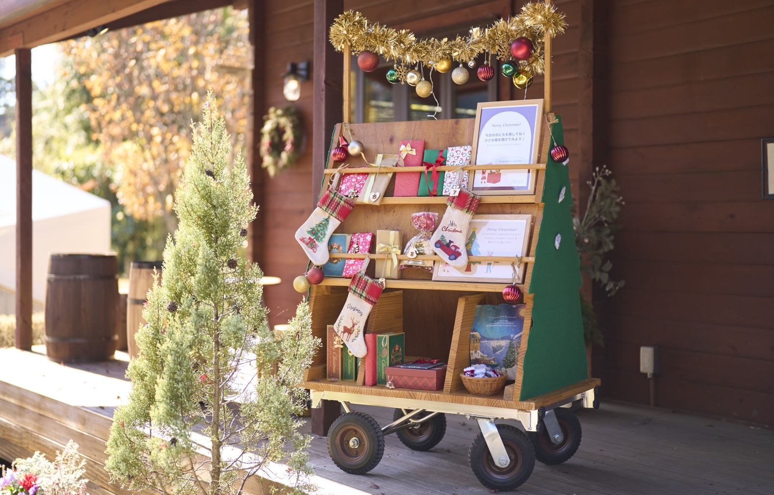 12／1（月）〜12／25（木）
　竹のクリスマスツリー&アドベントカレンダー登 ...