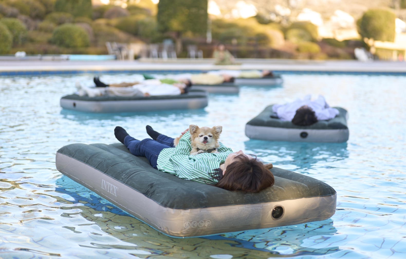 3／20（金・祝）〜5／31（日）　水に浮かび、森に身をゆだねる「春のリトリー ...