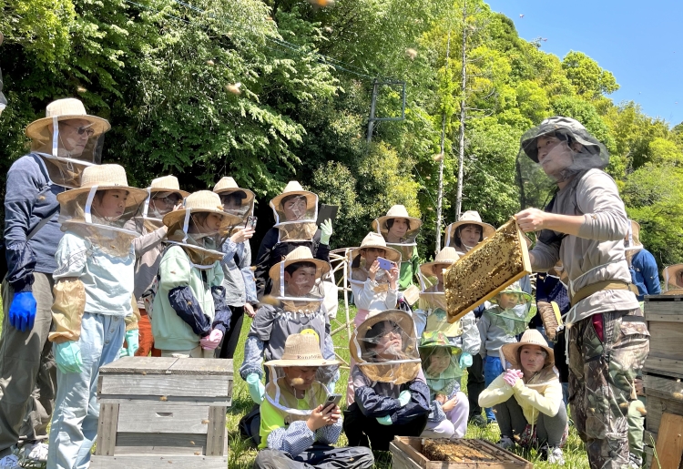 GW限定！自然のままの貴重なハチミツをいただく「養蜂体験」