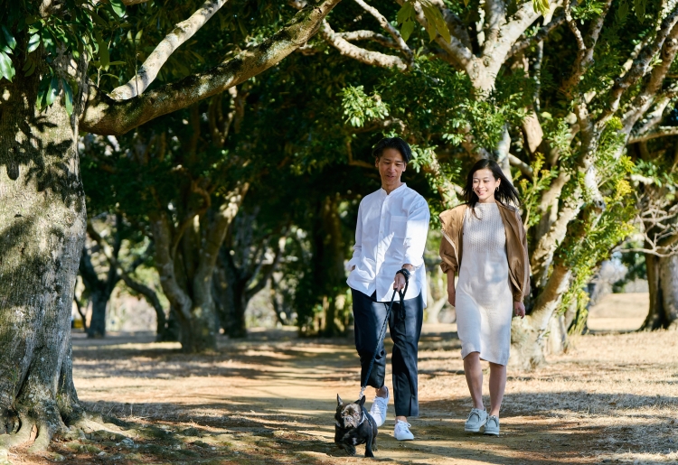 愛犬と木漏れ日の中を歩く「お散歩コース＆ドッグラン」
