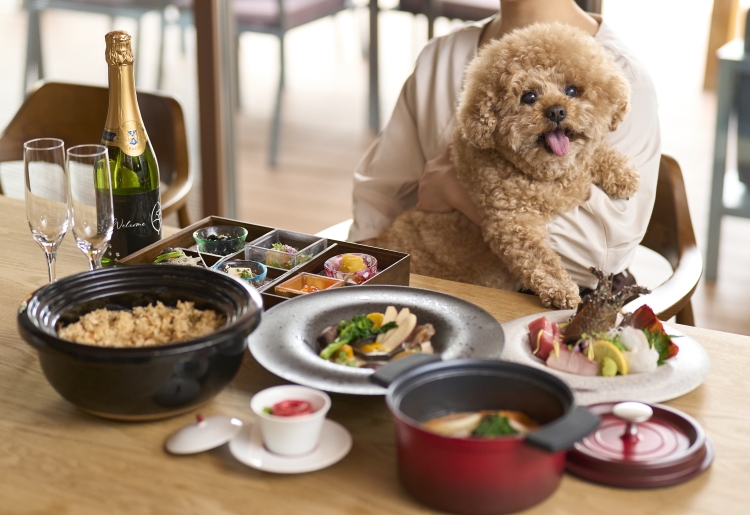 愛犬とお部屋で房総の旬を味わう創作美膳プラン