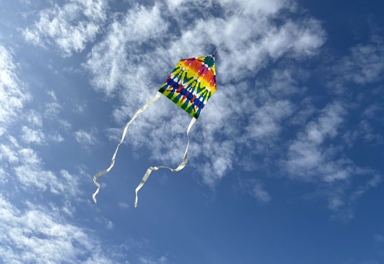 GW限定!伝統手法折り染めで作る「凧づくり&凧揚げ体験」