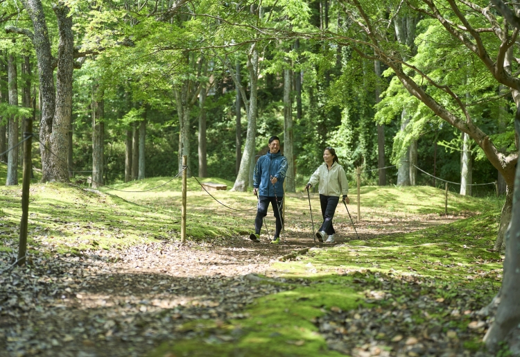 GW限定!新緑の森の中で心と身体をととのえるウェルネス体験「新緑ノルディックウォーキング」