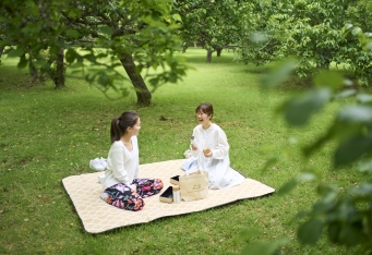 手ぶらでピクニックが楽しめる「新緑ピクニックBOX」発売開始