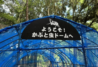 カブトムシと触れ合える「かぶと虫ドーム」夏季限定OPEN！