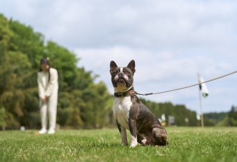 愛犬と一緒にプレー「ミニゴルフ」