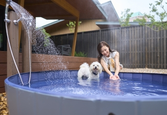 愛犬の夏バテ対策に「ドッグプール」