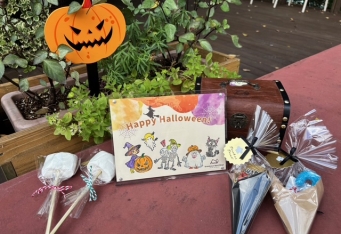 スタンプを集めてオリジナルカードを作ろう！「森のハロウィン・スタンプラリー」