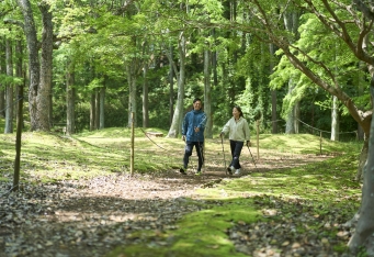 梅香る森で心身をととのえる「梅見ノルディックウォーキング」