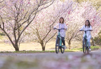 【最大15%OFF】卒業旅行・入学祝いにおすすめ！春の節目を祝うお得な宿泊プラン