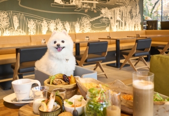 愛犬と過ごせるカフェ『Dear Wan Terrace』新メニュー登場！