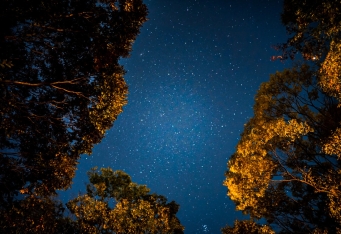 GW限定！春の星座やみずがめ座流星群を観察する「星空観察ツアー」