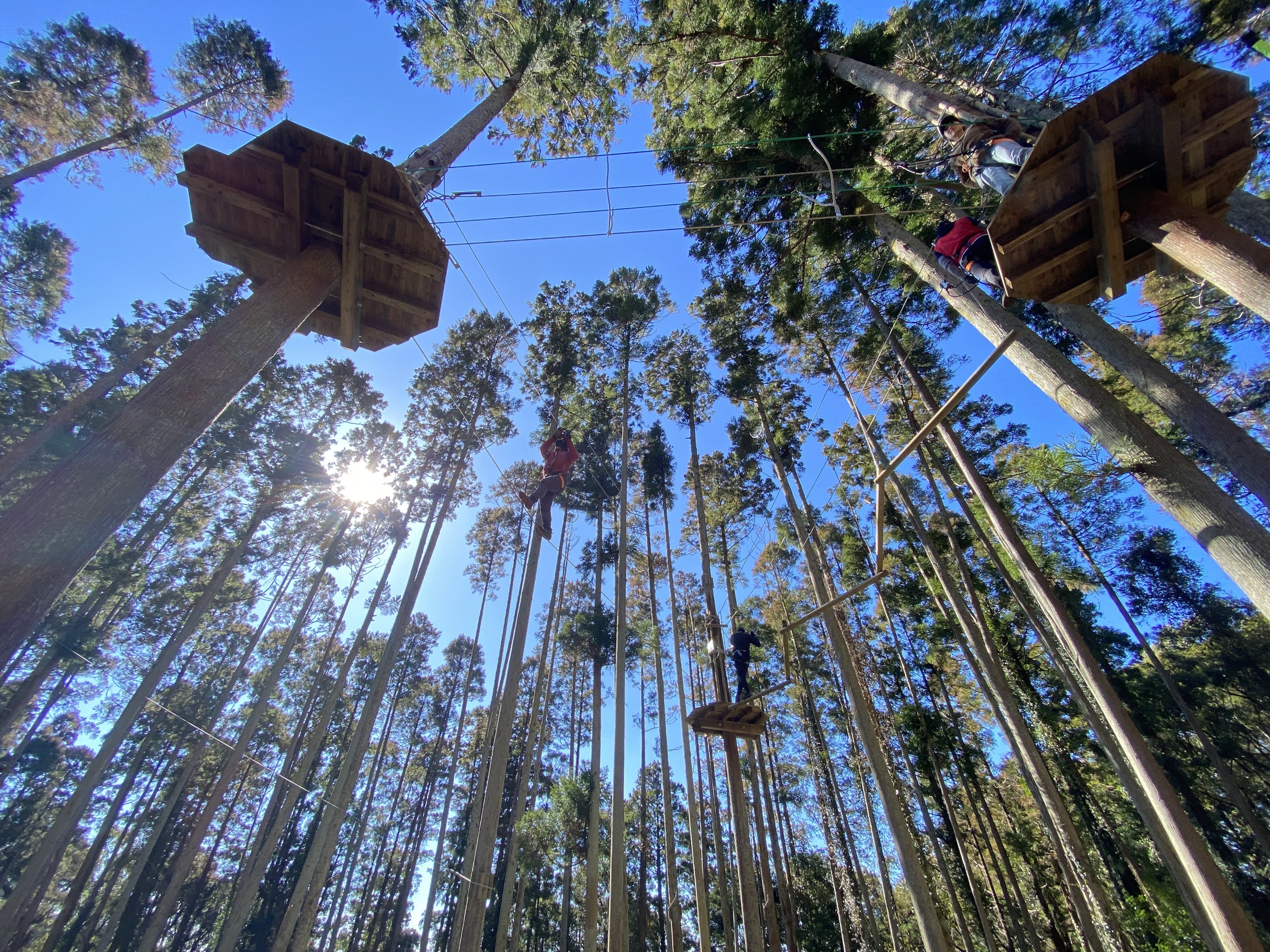 フォレストアドベンチャー・ターザニア