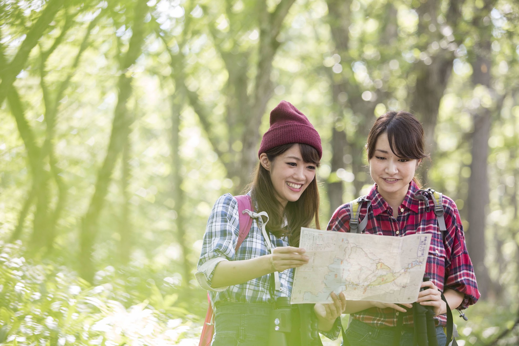 宝探しプログラム