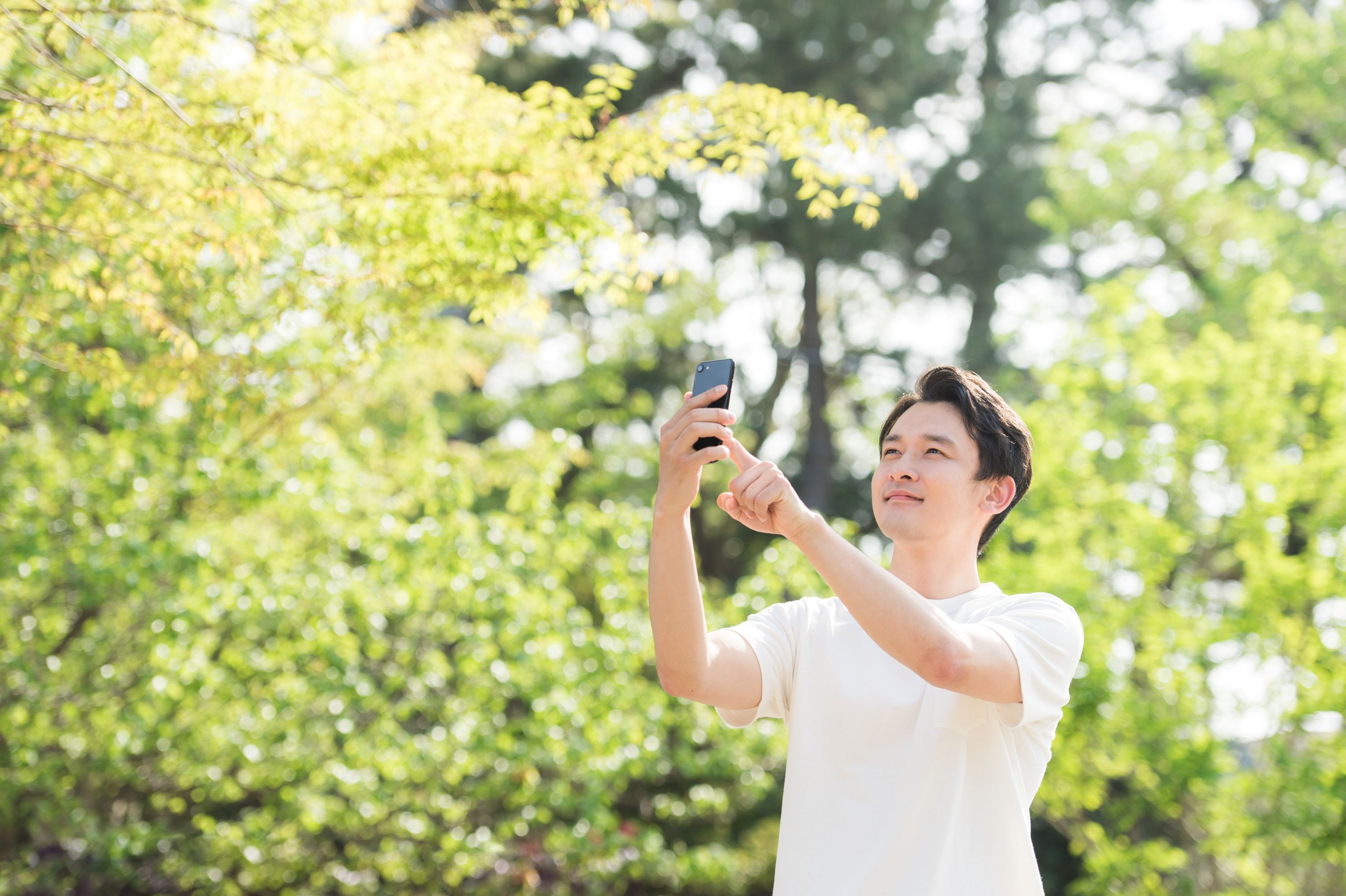 ~フォトハントラリー~