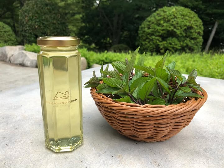 Grandvaux Kitchen ~ミントシロップづくり~