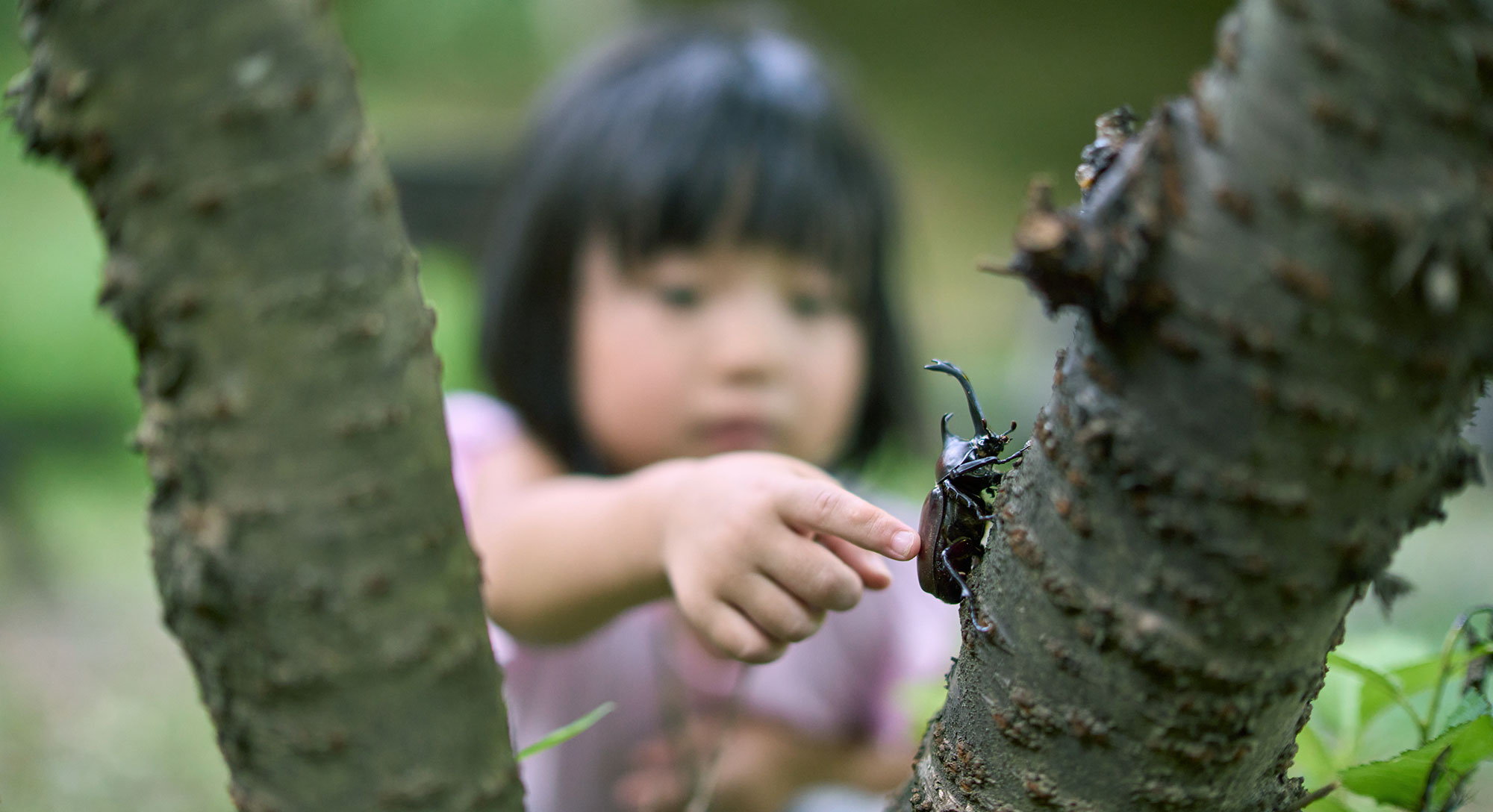 【Coming Soon】~昆虫博士によるガイド体験~