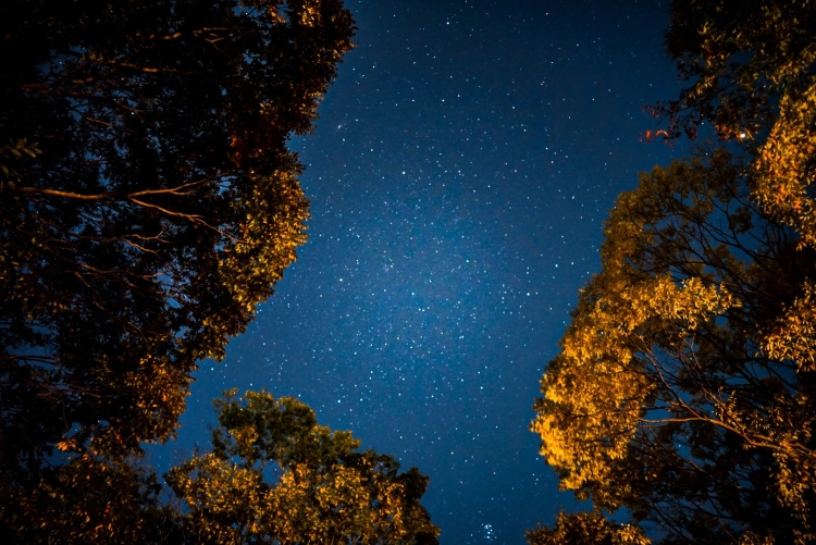 【Coming Soon】~星空ガイドツアー~